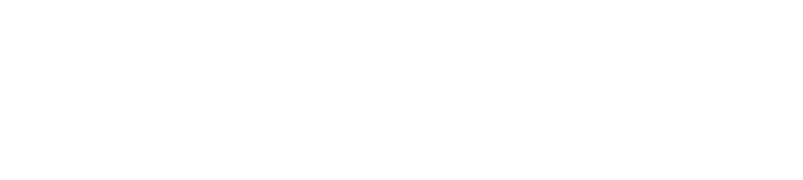 Enterprise Security