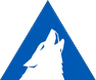 Arctic Wolf Networks